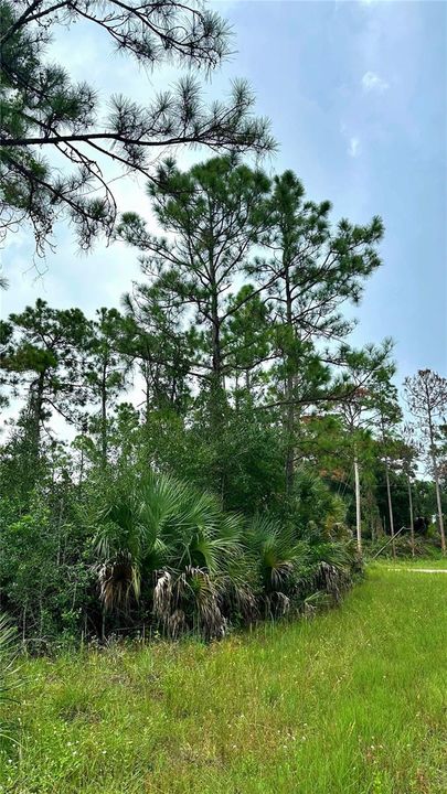 For Sale: $22,900 (0.29 acres)