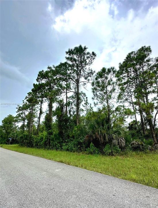 For Sale: $22,900 (0.29 acres)