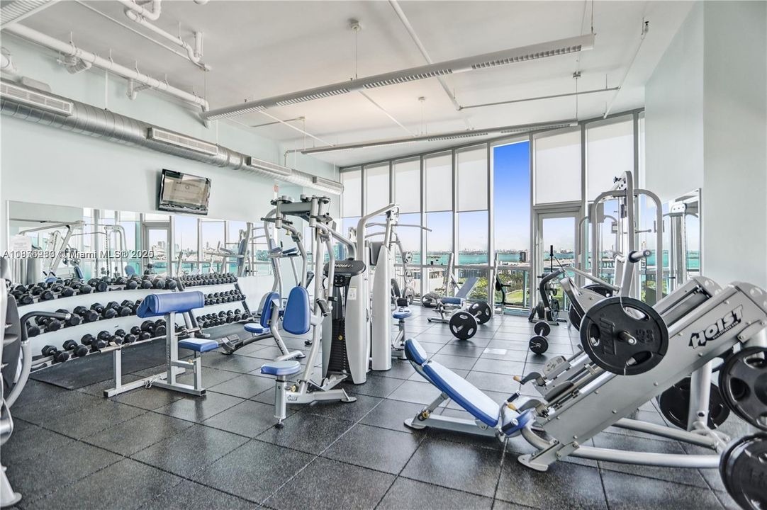 Fully equipped gym with premium strength and cardio machines, all surrounded by floor-to-ceiling windows and inspiring water views.