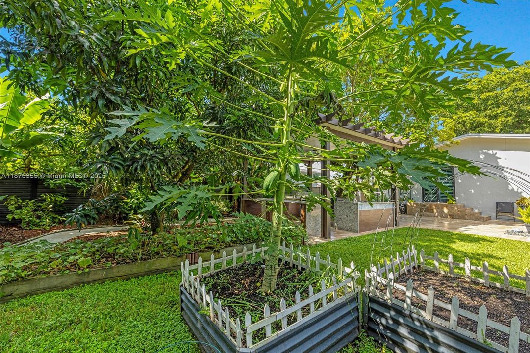 待售: $1,150,000 (4 贝兹, 3 浴室, 3202 平方英尺)