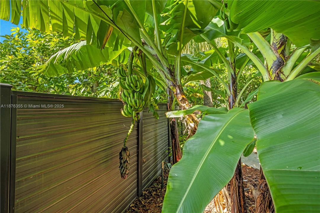 待售: $1,150,000 (4 贝兹, 3 浴室, 3202 平方英尺)