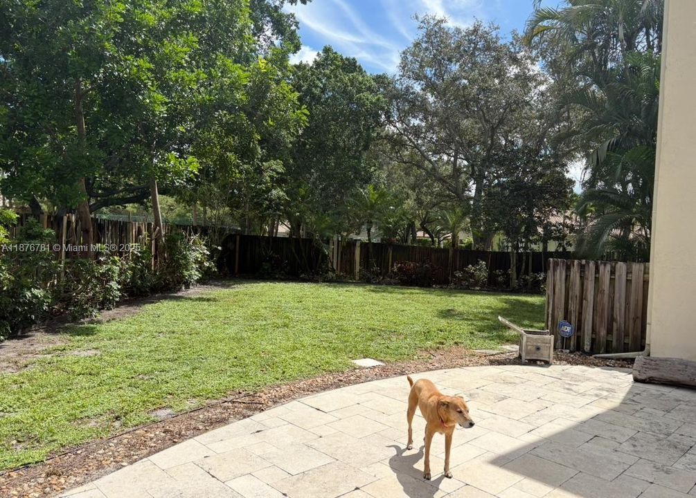 Недавно продано: $1,395,000 (4 спален, 3 ванн, 3399 Квадратных фут)