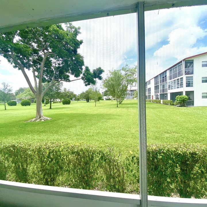 Rear Patio View