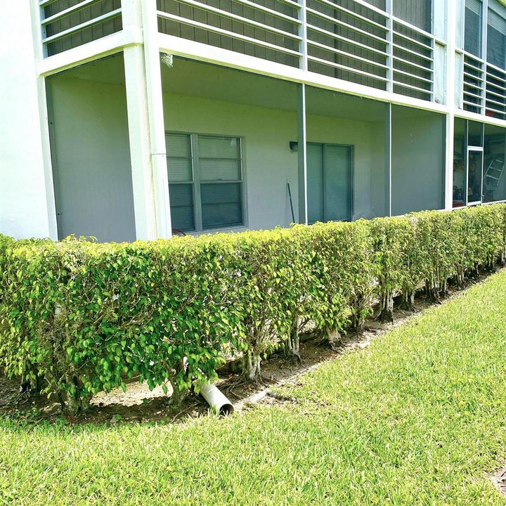 Rear Patio