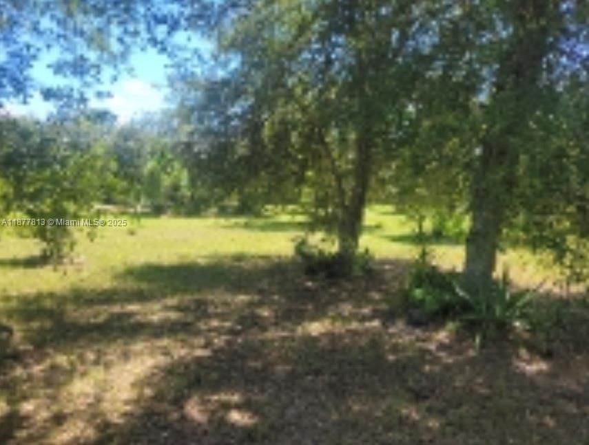 For Sale: $70,000 (1.25 acres)