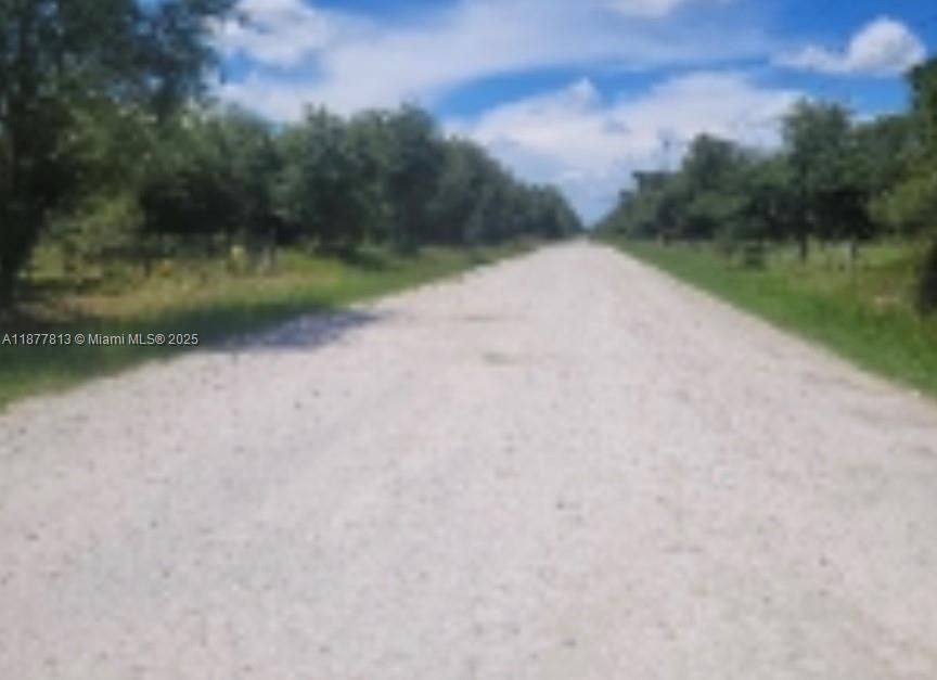 Paged Road Leading to Property