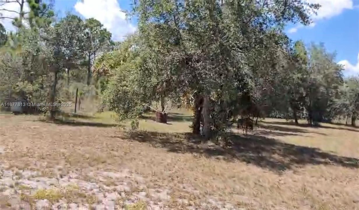 For Sale: $70,000 (1.25 acres)