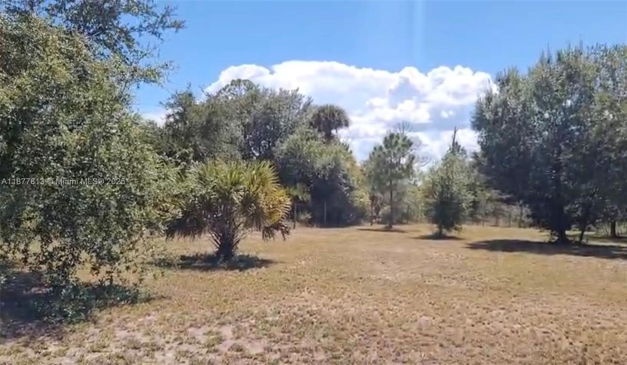 For Sale: $70,000 (1.25 acres)