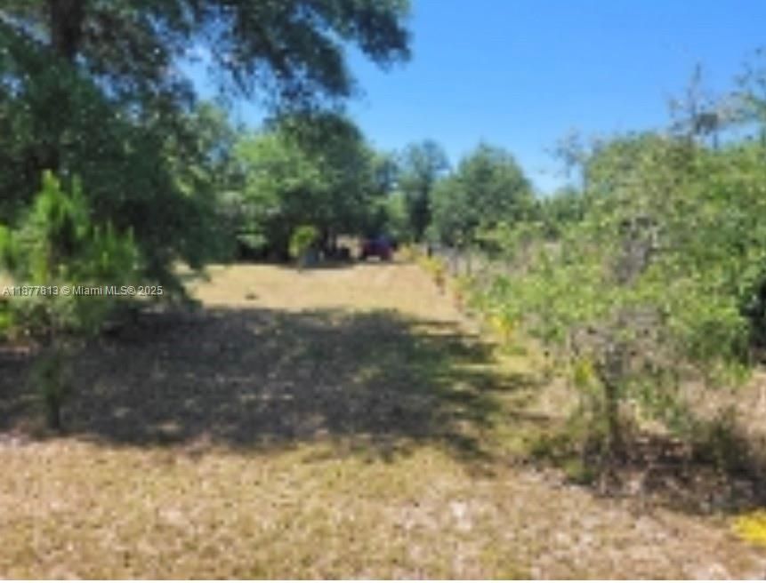 For Sale: $70,000 (1.25 acres)