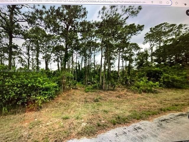 待售: $35,000 (0.50 acres)