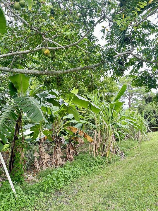 На продажу: $650,000 (3 спален, 2 ванн, 2643 Квадратных фут)