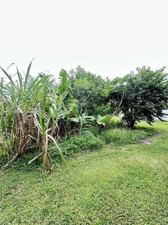 На продажу: $650,000 (3 спален, 2 ванн, 2643 Квадратных фут)