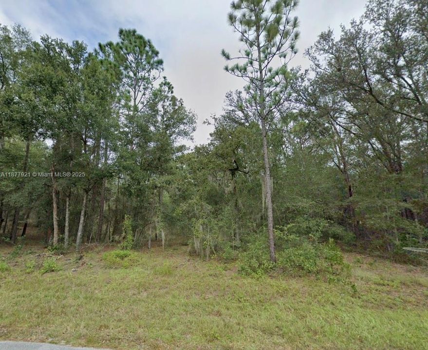 Active With Contract: $18,900 (0.23 acres)
