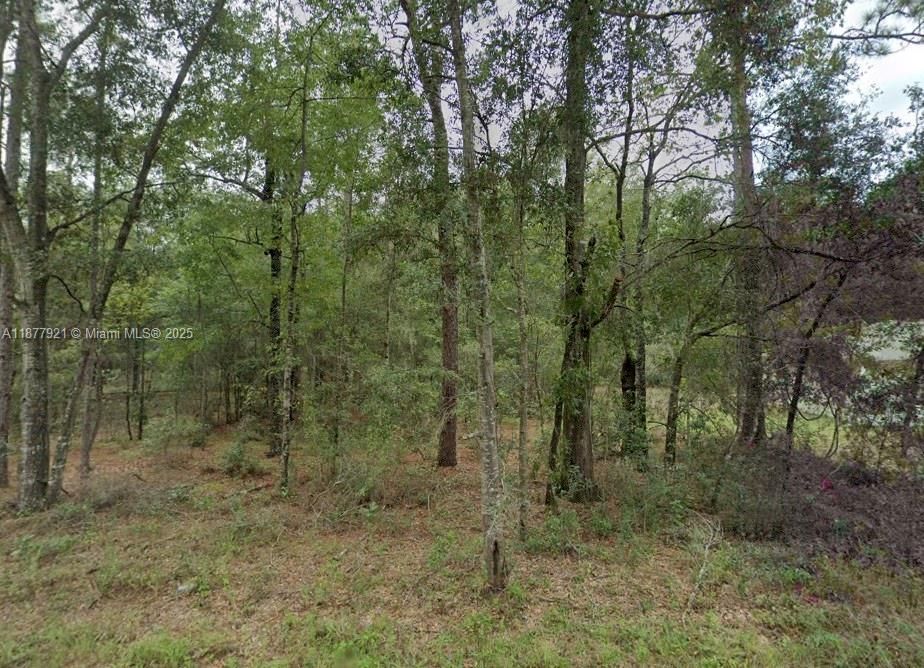 Active With Contract: $18,900 (0.23 acres)