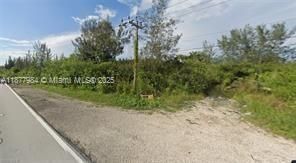 待售: $85,000 (0 贝兹, 0 浴室, 0 平方英尺)