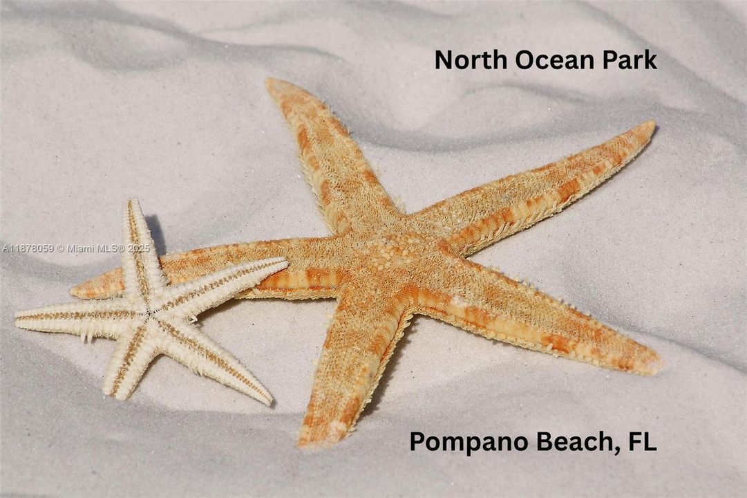 最近售出: $575,000 (0 贝兹, 0 浴室, 1624 平方英尺)