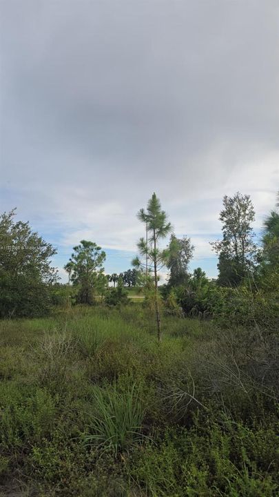 En Venta: $67,900 (0 camas, 0 baños, 0 Pies cuadrados)