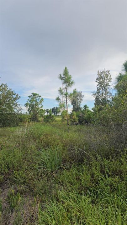 En Venta: $67,900 (0 camas, 0 baños, 0 Pies cuadrados)