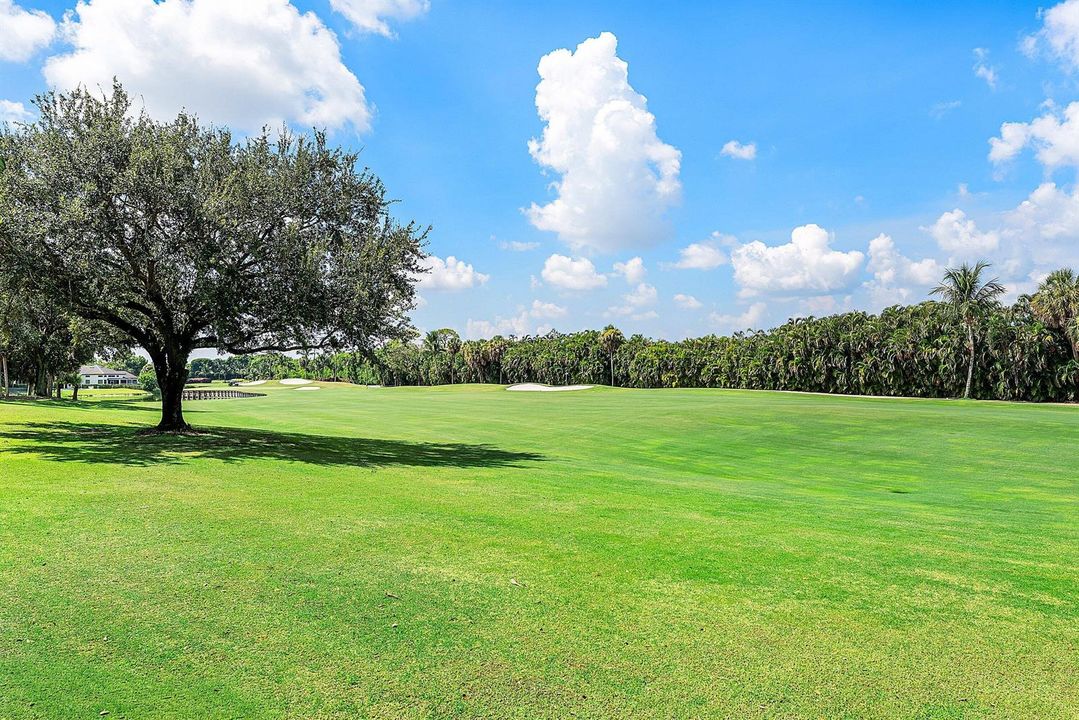 Rear View-SACC Championship Course