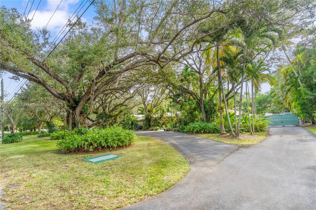 合同活跃: $3,650,000 (4 贝兹, 3 浴室, 3096 平方英尺)