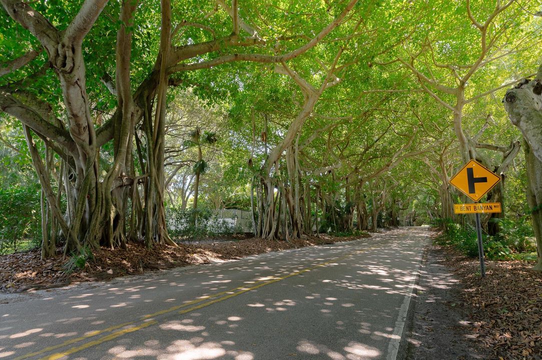 3800 SE Bent Banyan Way, Stuart, FL 3499