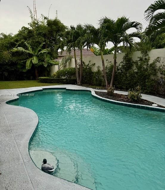 Large deck, pool area
