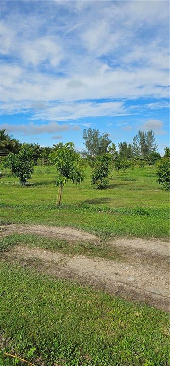 For Sale: $950,000 (0 beds, 0 baths, 0 Square Feet)