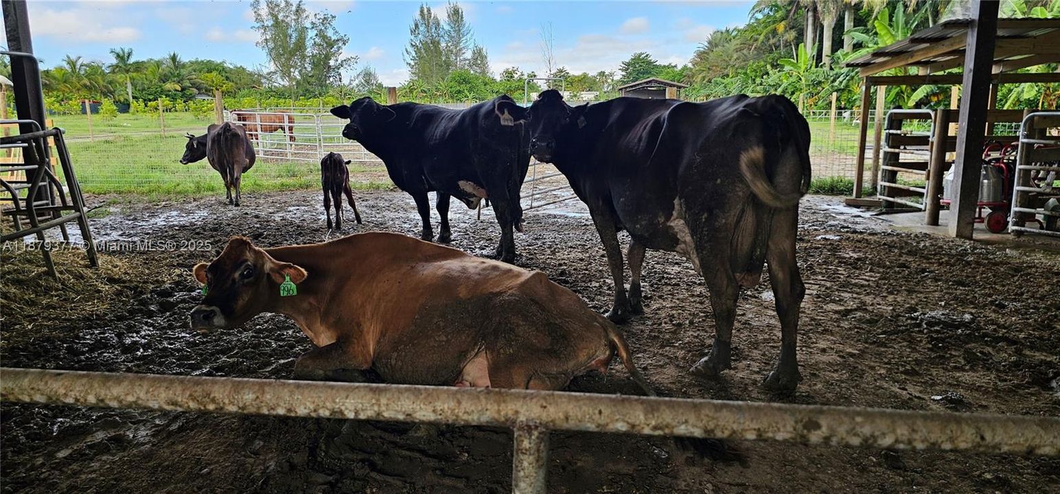 For Sale: $950,000 (0 beds, 0 baths, 0 Square Feet)