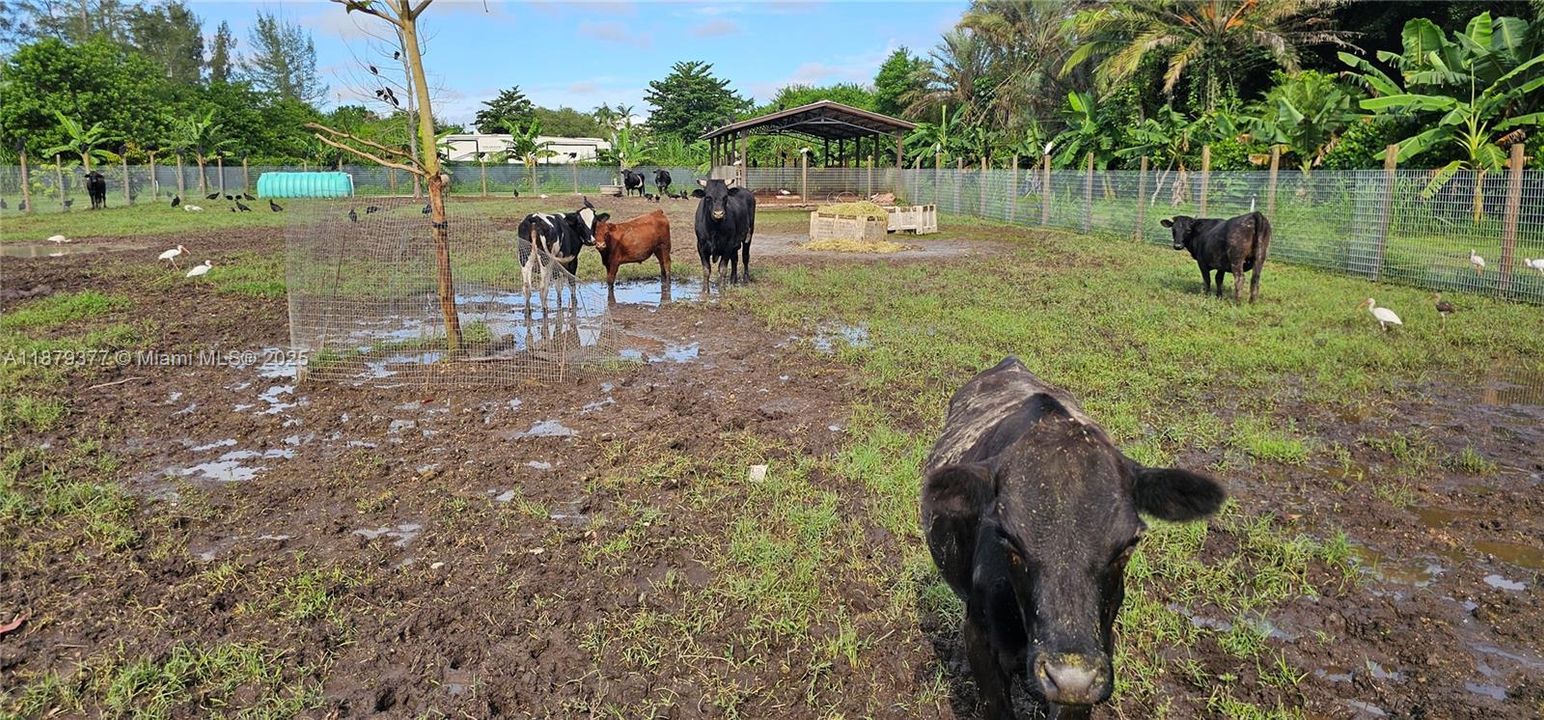 For Sale: $950,000 (0 beds, 0 baths, 0 Square Feet)