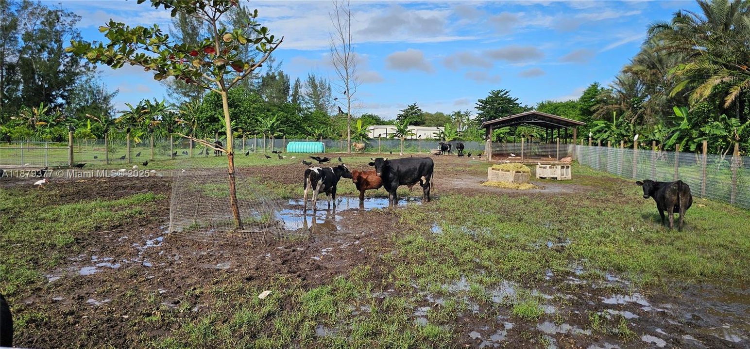 For Sale: $950,000 (0 beds, 0 baths, 0 Square Feet)