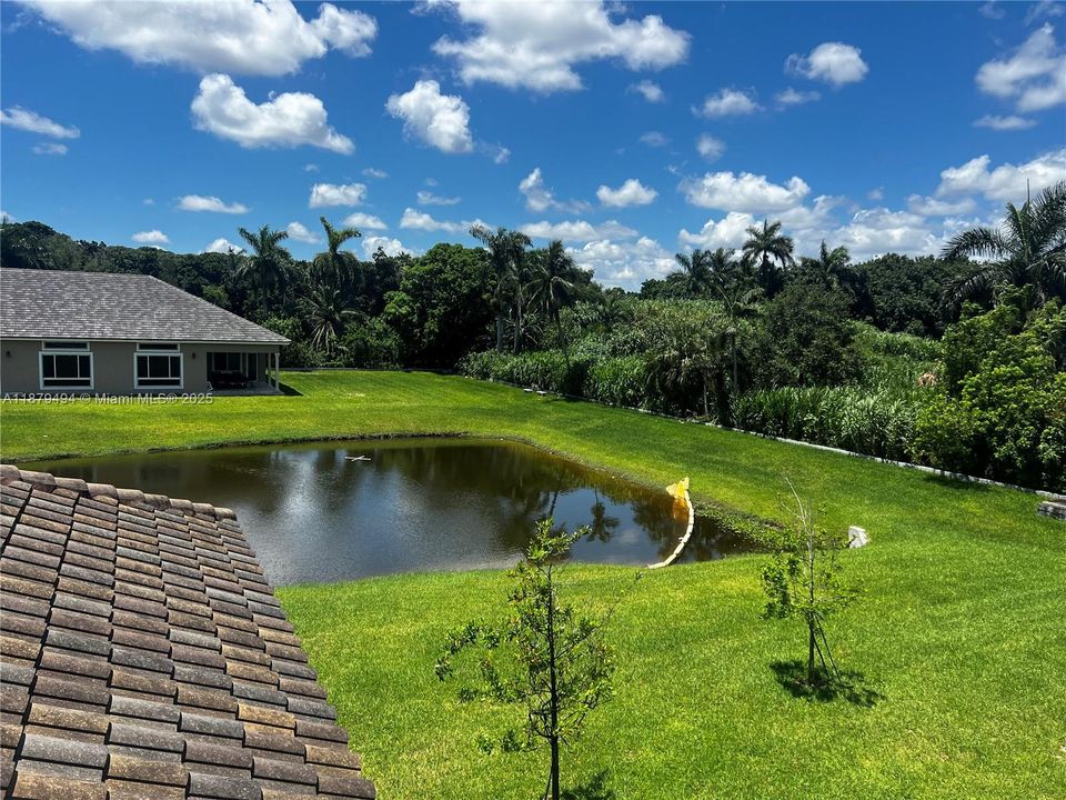 For Rent: $11,000 (6 beds, 6 baths, 0 Square Feet)