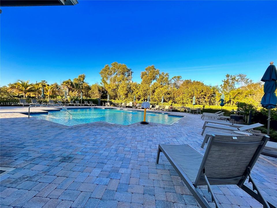 Недавно арендовано: $2,800 (4 спален, 3 ванн, 1975 Квадратных фут)