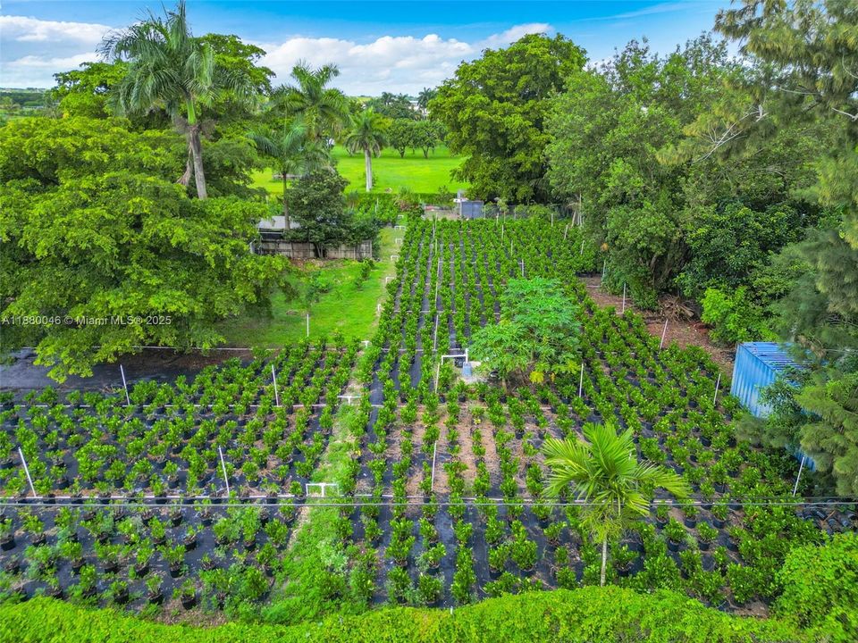 For Sale: $1,110,000 (6 beds, 4 baths, 3838 Square Feet)