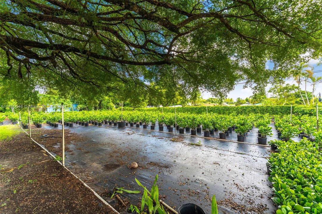 For Sale: $1,110,000 (6 beds, 4 baths, 3838 Square Feet)