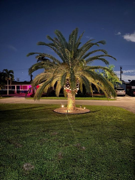 Недавно продано: $549,900 (2 спален, 1 ванн, 1032 Квадратных фут)