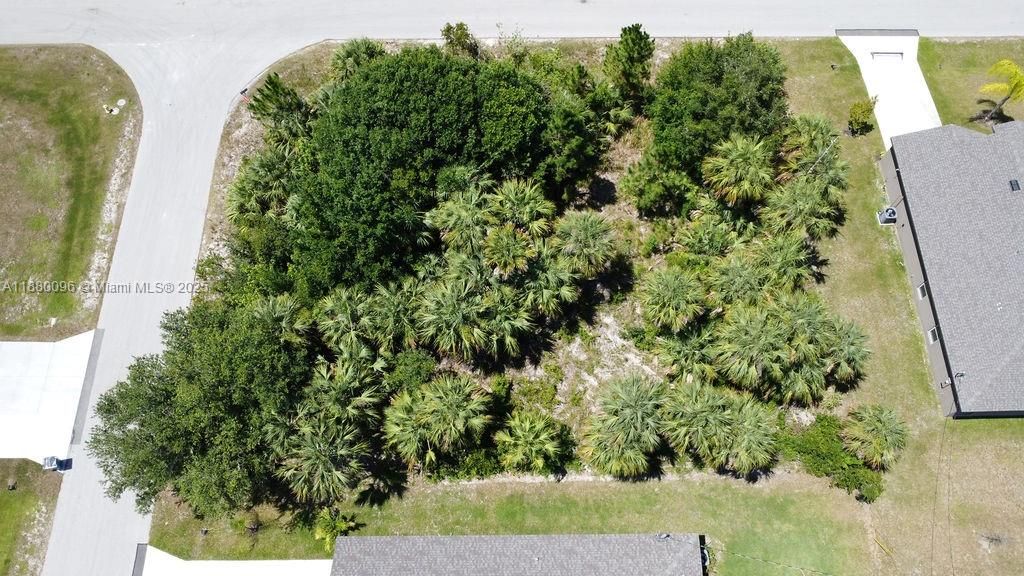 En Venta: $68,000 (0.29 acres)