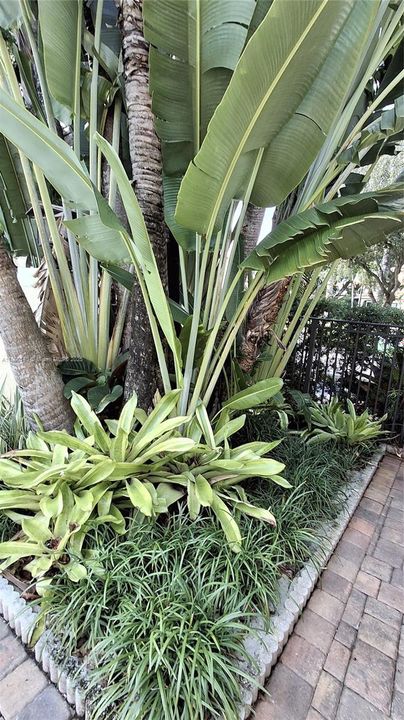 Недавно арендовано: $2,850 (3 спален, 2 ванн, 1451 Квадратных фут)