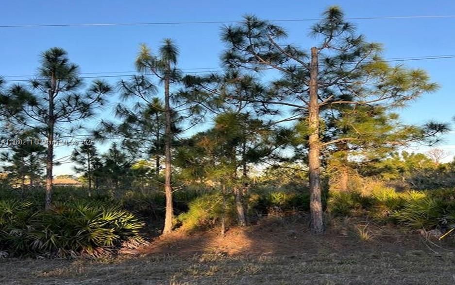 En Venta: $22,999 (0.26 acres)