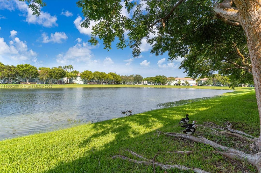 Recently Sold: $249,900 (3 beds, 2 baths, 1302 Square Feet)