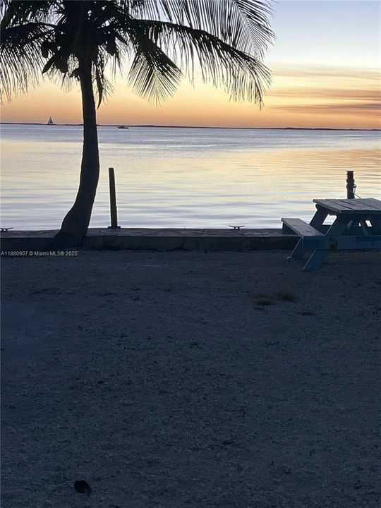 待售: $545,000 (1 贝兹, 1 浴室, 0 平方英尺)