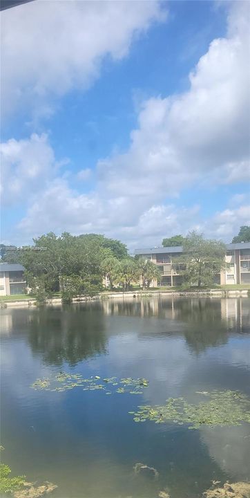 合同活跃: $1,900 (2 贝兹, 2 浴室, 949 平方英尺)