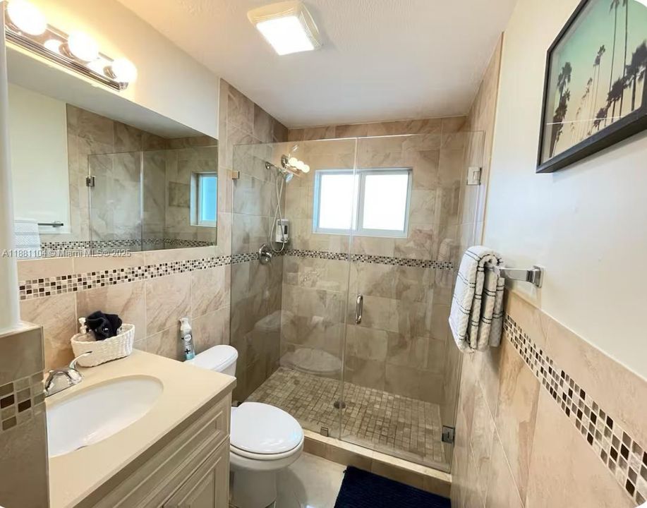 Lower Level Bathroom
