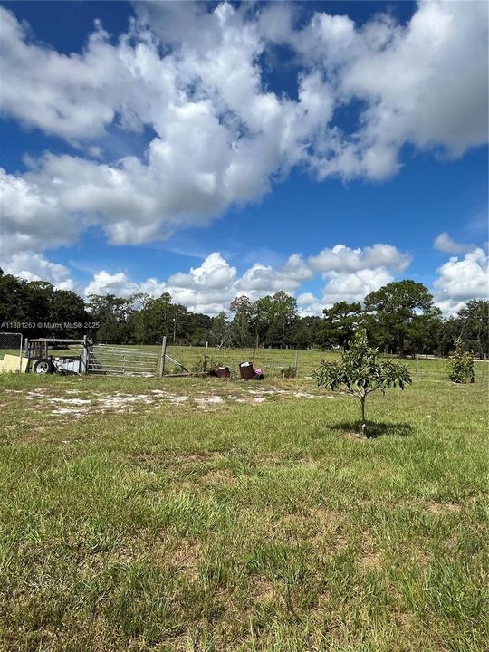 待售: $327,000 (2 贝兹, 1 浴室, 0 平方英尺)