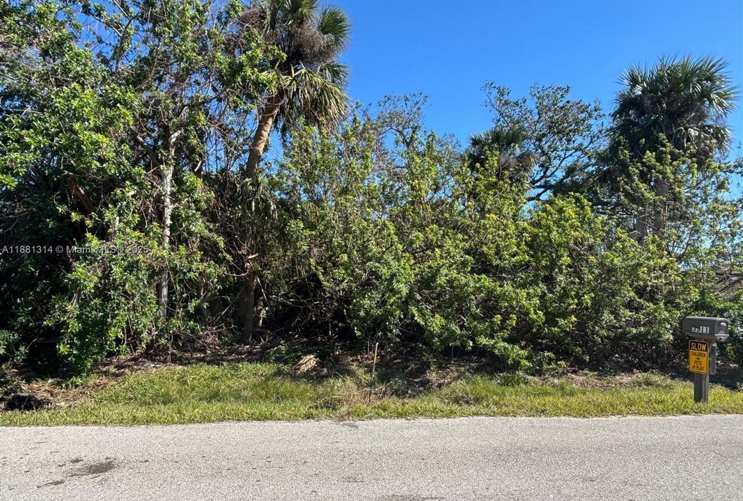 На продажу: $35,000 (0.25 acres)