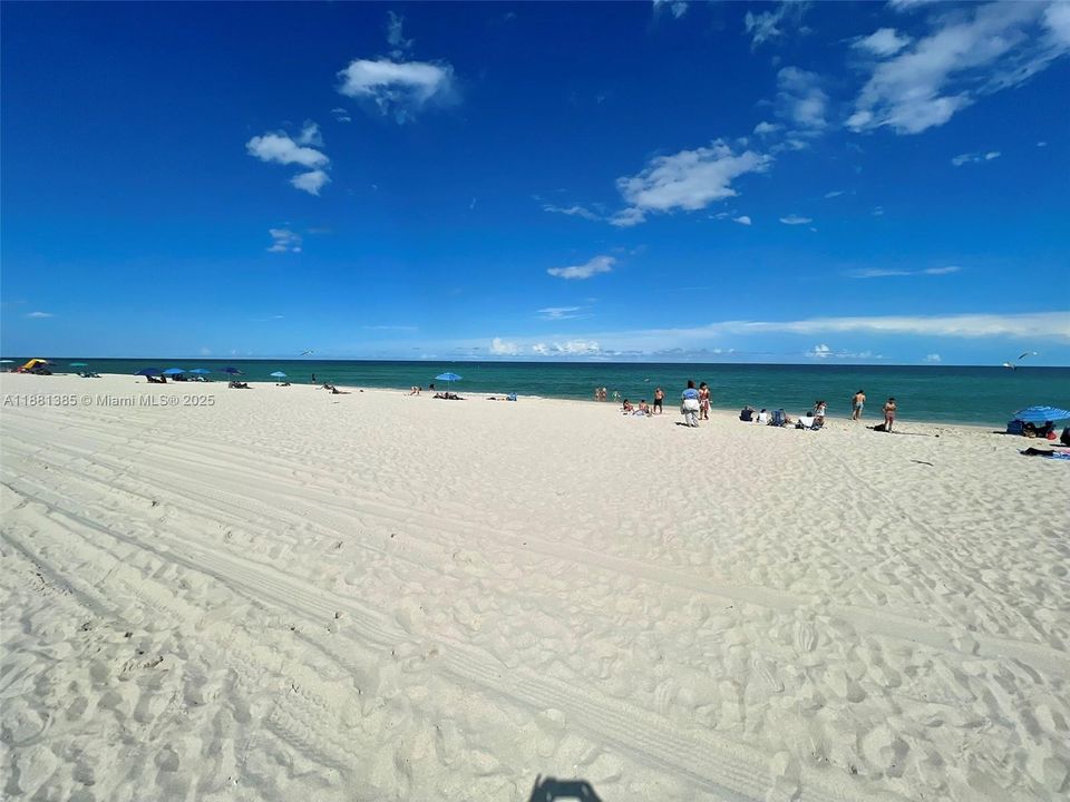 合同活跃: $250,000 (1 贝兹, 1 浴室, 443 平方英尺)