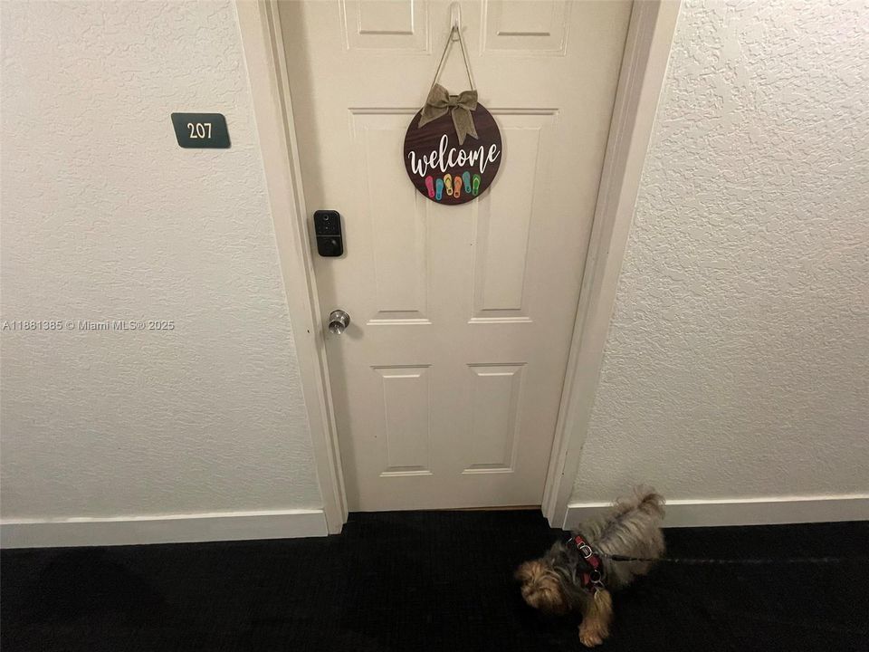 合同活跃: $250,000 (1 贝兹, 1 浴室, 443 平方英尺)