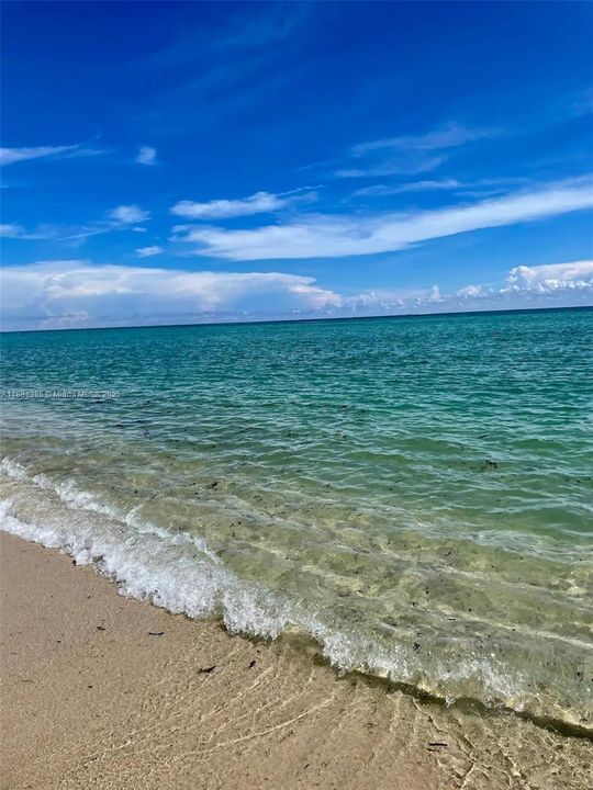 合同活跃: $250,000 (1 贝兹, 1 浴室, 443 平方英尺)