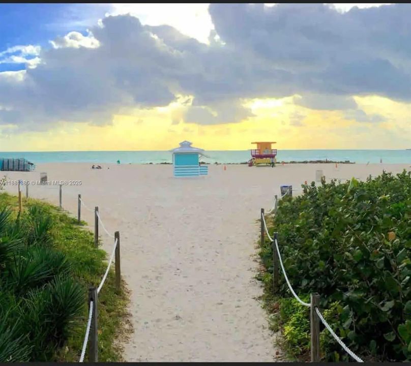 合同活跃: $250,000 (1 贝兹, 1 浴室, 443 平方英尺)