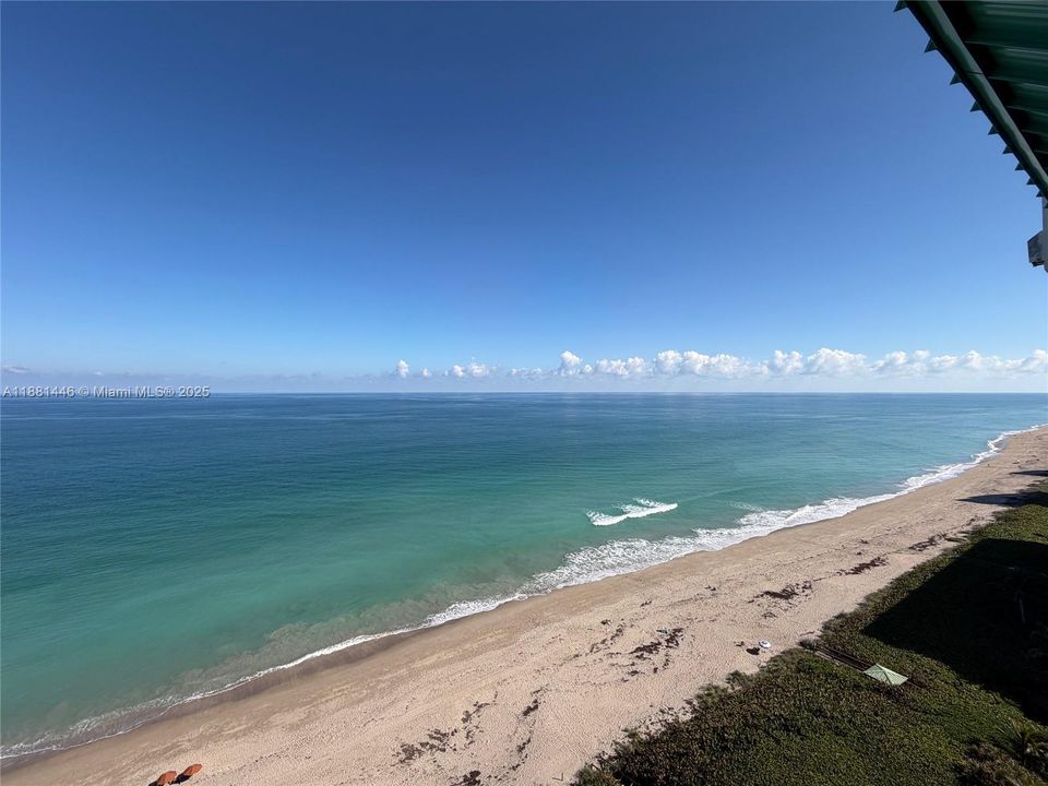 出租: $5,000 (2 贝兹, 2 浴室, 1421 平方英尺)