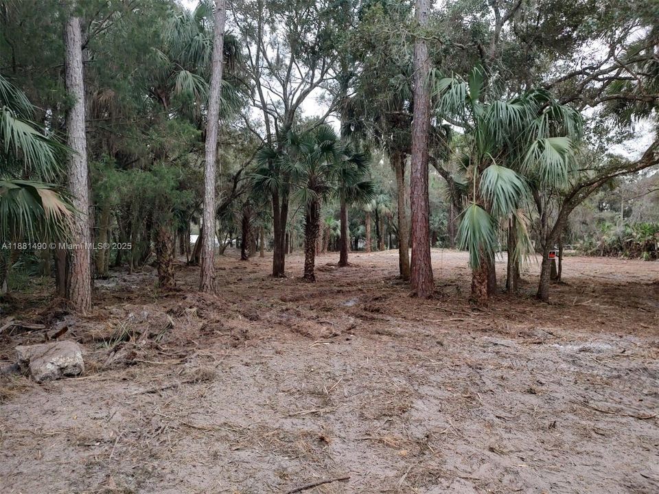 Lot cleaned 2 years ago